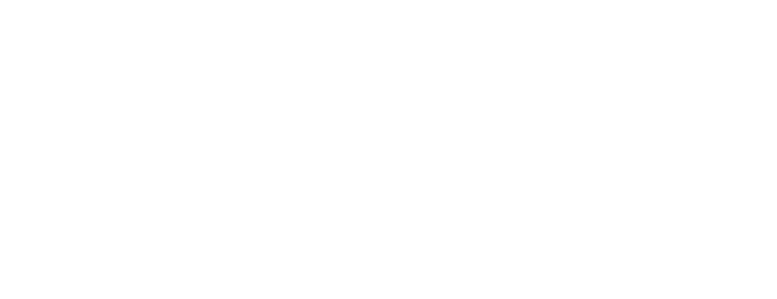 BPO Pix